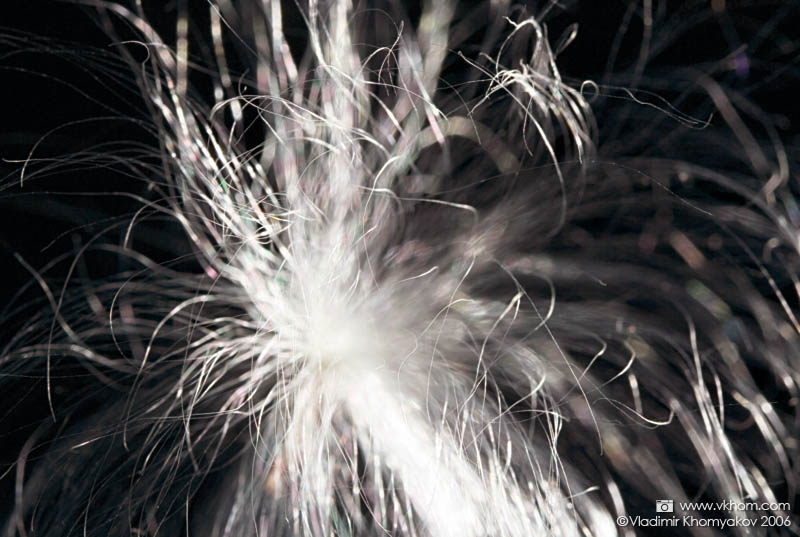 Пухнасте зернятко #1