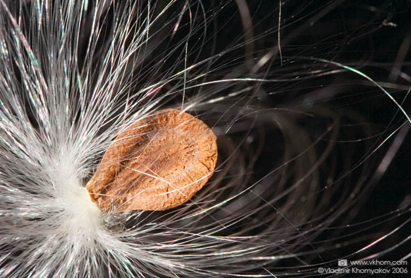 Пружність #1