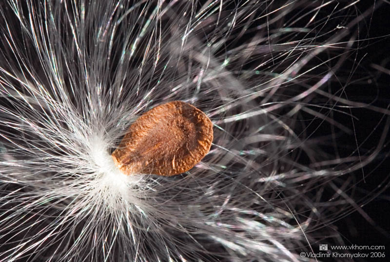 Пружність #2