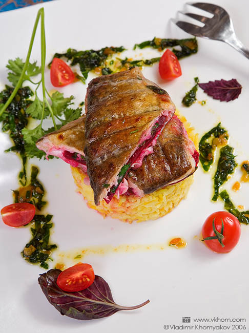 Морський вовк (сібас)