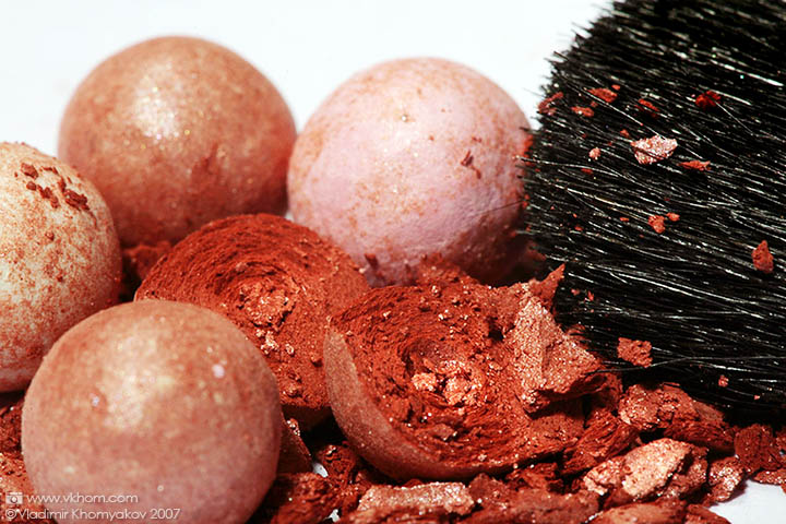 Рум'яна та пензлик (макро)