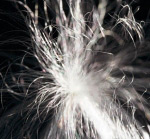 Пухнасте зернятко #1