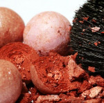 Рум'яна та пензлик (макро)